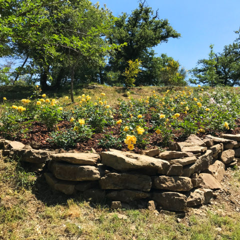 Realizzazione giardini rustici Valdambra Caiani Vivai Garden